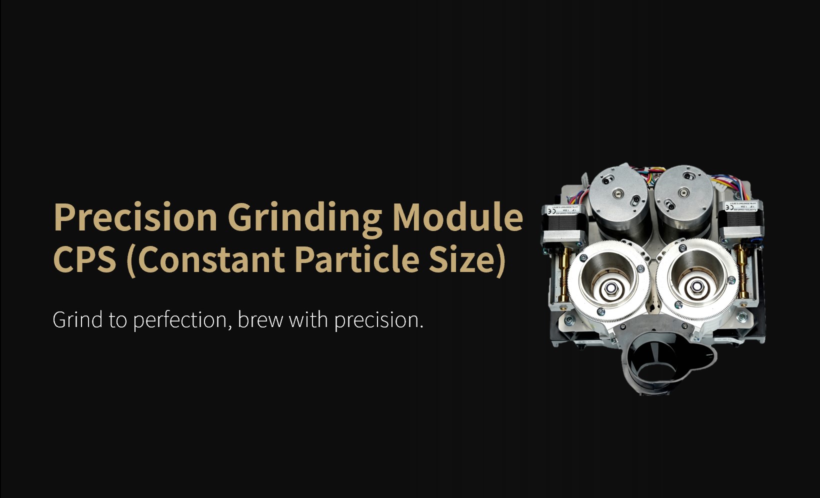 Precision Grinding System (CPS Burrs)