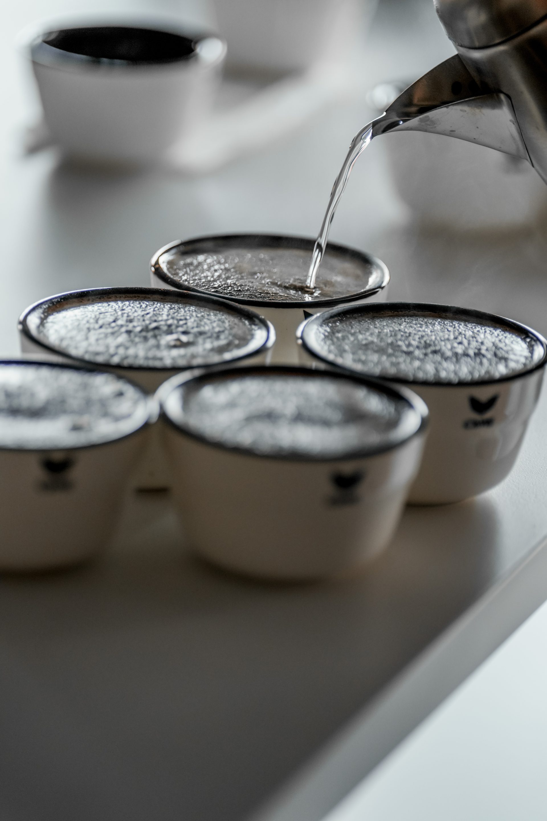 Coffee Sensory
